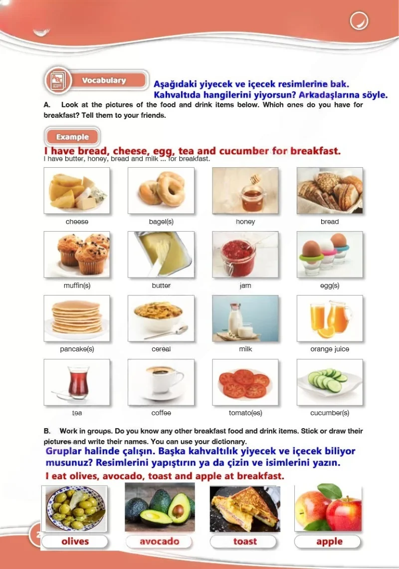 6. Sınıf İngilizce Ders Kitabı Cevapları Özgün Yayınları Sayfa 26 Çözüm Görseli