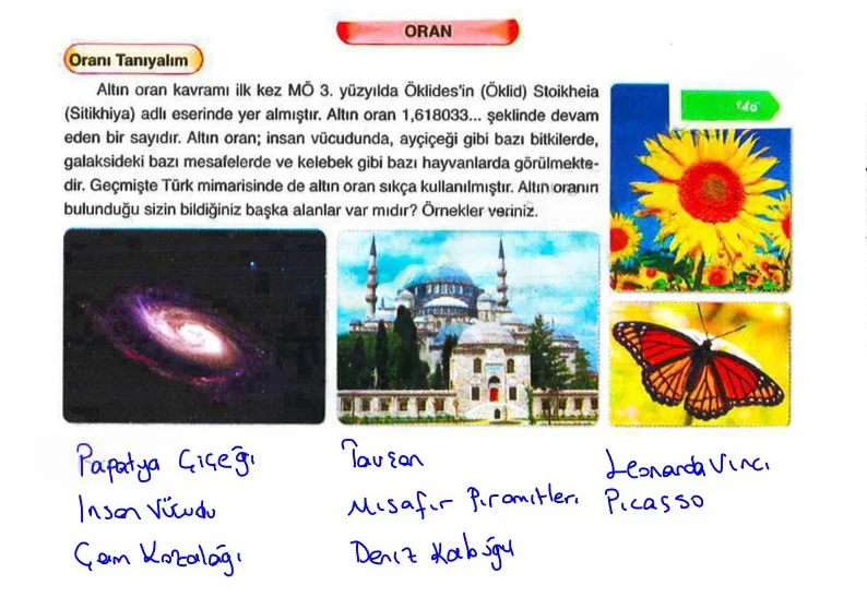 6. Sınıf Matematik Ders Kitabı Cevapları Ata Yayınları Sayfa 146 Çözüm Görseli
