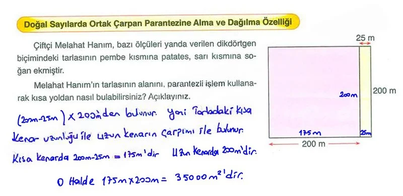 6. Sınıf Matematik Ders Kitabı Cevapları Ata Yayınları Sayfa 19 Çözüm Görseli