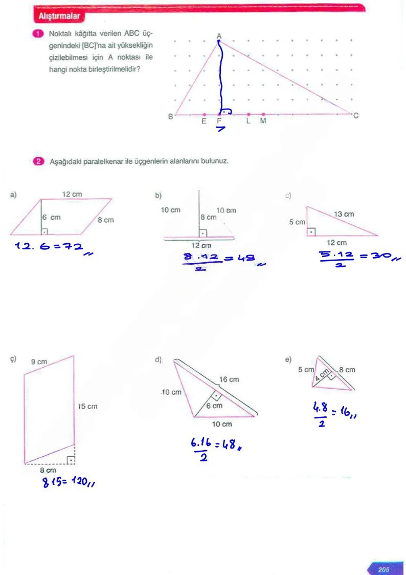 6. Sınıf Matematik Ders Kitabı Cevapları Ata Yayınları Sayfa 205 Çözüm Görseli