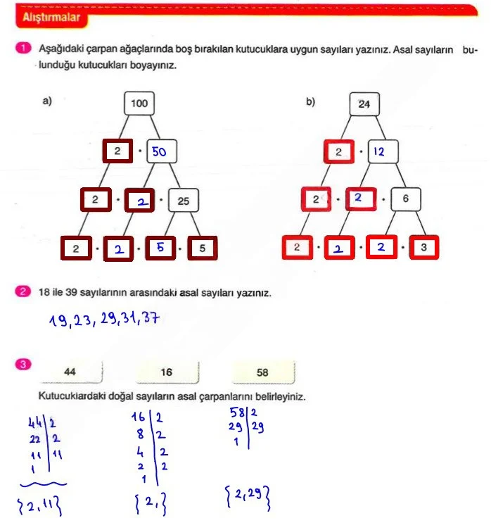 6. Sınıf Matematik Ders Kitabı Cevapları Ata Yayınları Sayfa 44 Çözüm Görseli