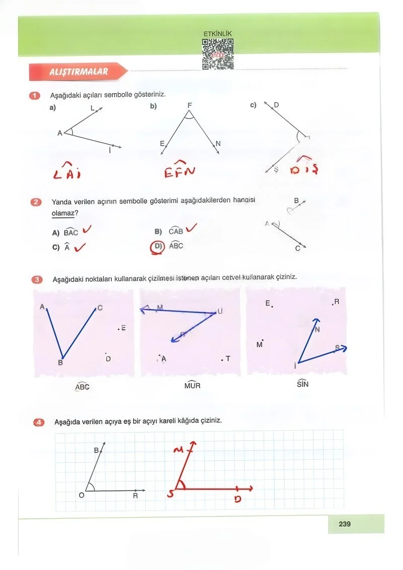 6. Sınıf Matematik Ders Kitabı Cevapları Doğa Yayınları Sayfa 239 Çözüm Görseli