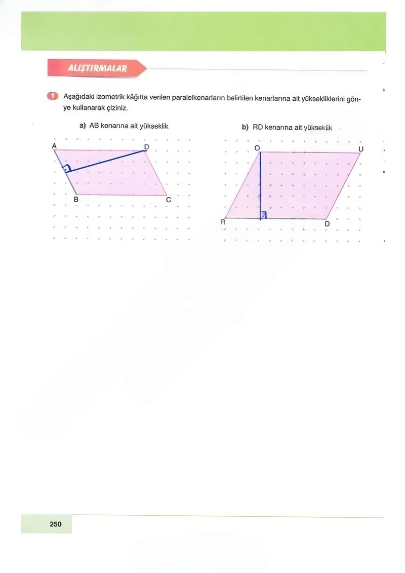 6. Sınıf Matematik Ders Kitabı Cevapları Doğa Yayınları Sayfa 250 Çözüm Görseli