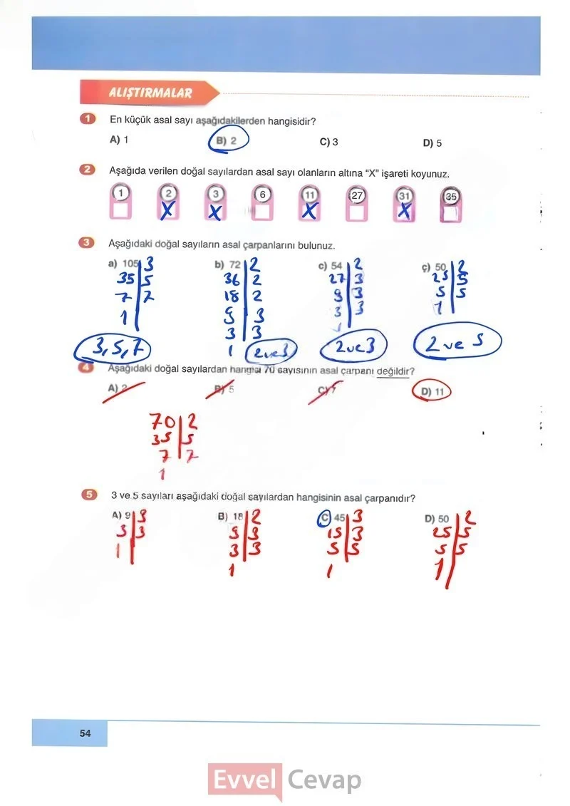 6. Sınıf Matematik Ders Kitabı Cevapları Doğa Yayınları Sayfa 54 Çözüm Görseli