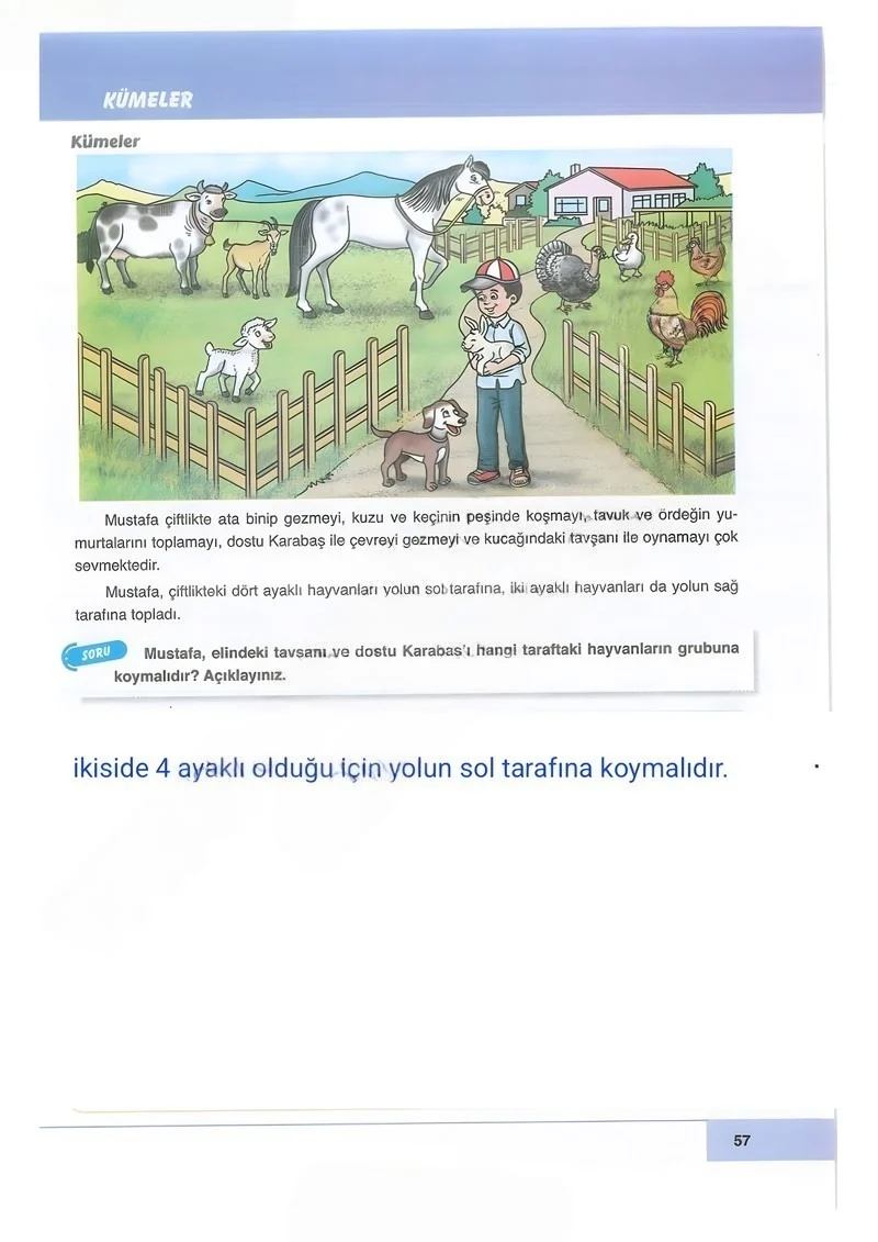 6. Sınıf Matematik Ders Kitabı Cevapları Doğa Yayınları Sayfa 57 Çözüm Görseli