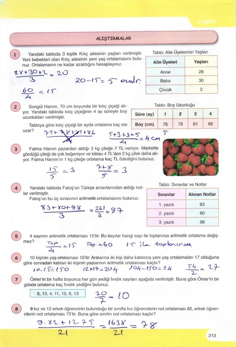 6. Sınıf Matematik Ders Kitabı Cevapları Öğün Yayınlar Sayfa 213 Çözüm Görseli