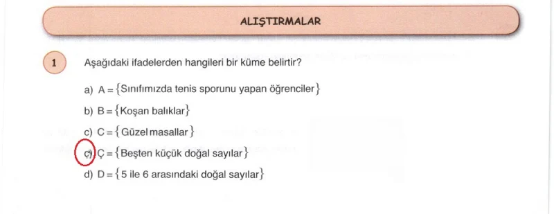 6. Sınıf Matematik Ders Kitabı Cevapları Öğün Yayınlar Sayfa 67 Çözüm Görseli