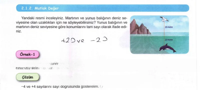 6. Sınıf Matematik Ders Kitabı Cevapları Öğün Yayınlar Sayfa 84 Çözüm Görseli