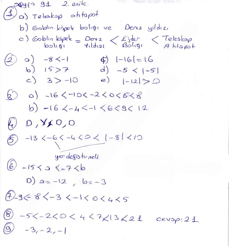 6. Sınıf Matematik Ders Kitabı Cevapları Öğün Yayınlar Sayfa 91 Çözüm Görseli
