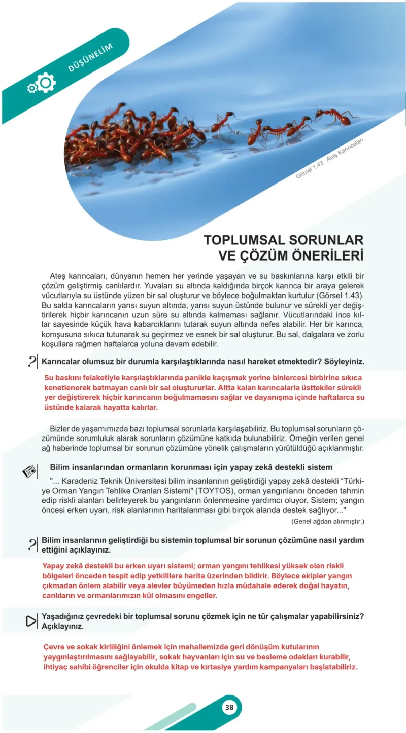 6. Sınıf Sosyal Bilgiler Ders Kitabı Cevapları Meb Yayınları 1. Kitap Sayfa 38 Çözüm Görseli