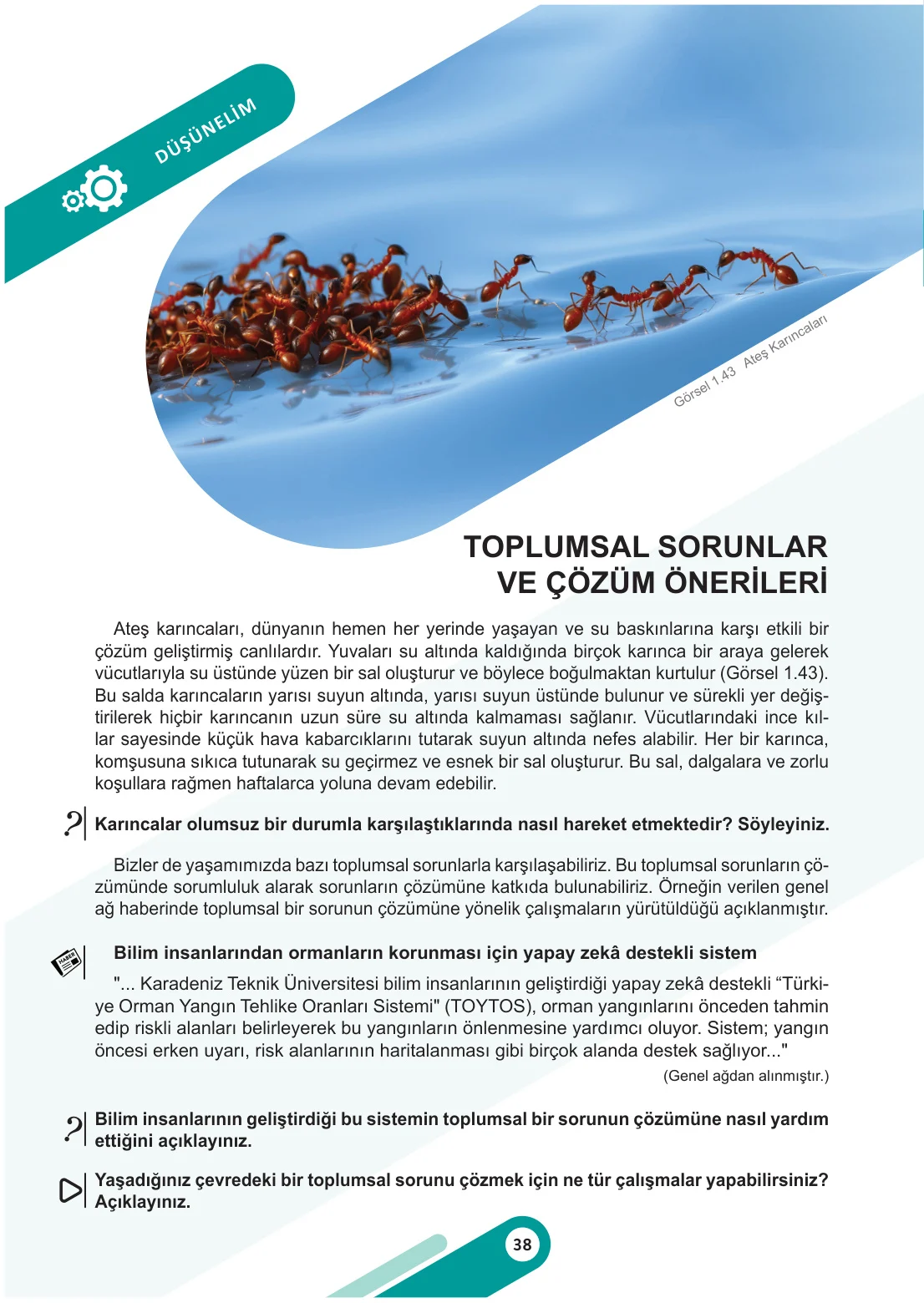 6. Sınıf Sosyal Bilgiler Ders Kitabı Cevapları Meb Yayınları 1. Kitap Sayfa 38