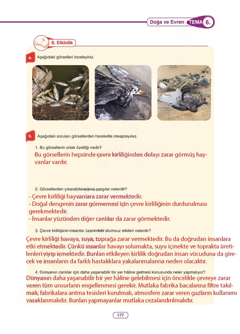 6. Sınıf Türkçe Ders Kitabı Cevapları Anka Yayınları Sayfa 177 Çözüm Görseli