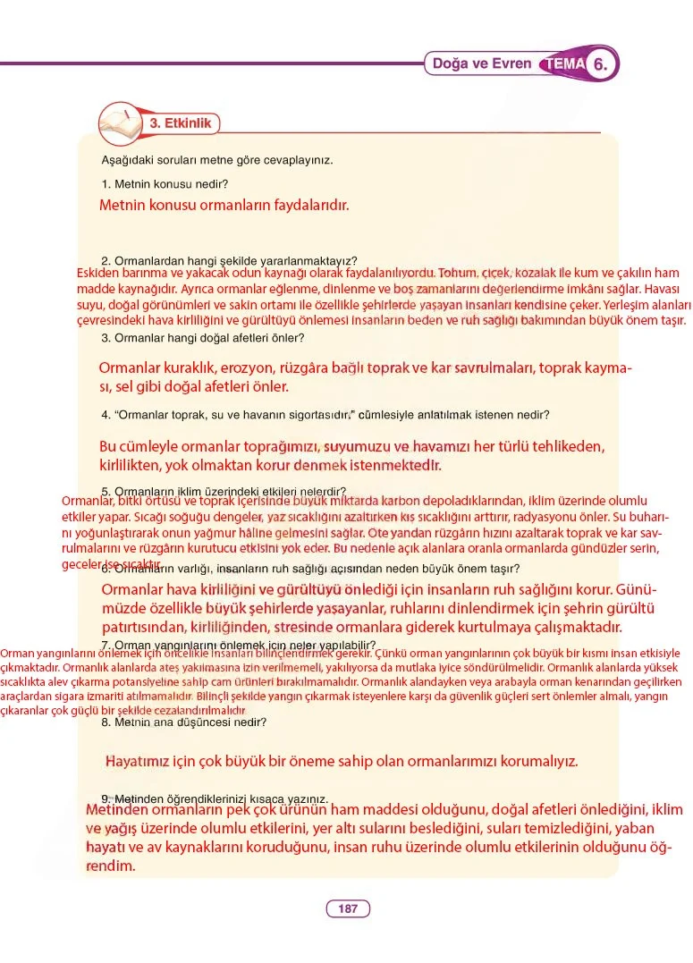 6. Sınıf Türkçe Ders Kitabı Cevapları Anka Yayınları Sayfa 187 Çözüm Görseli