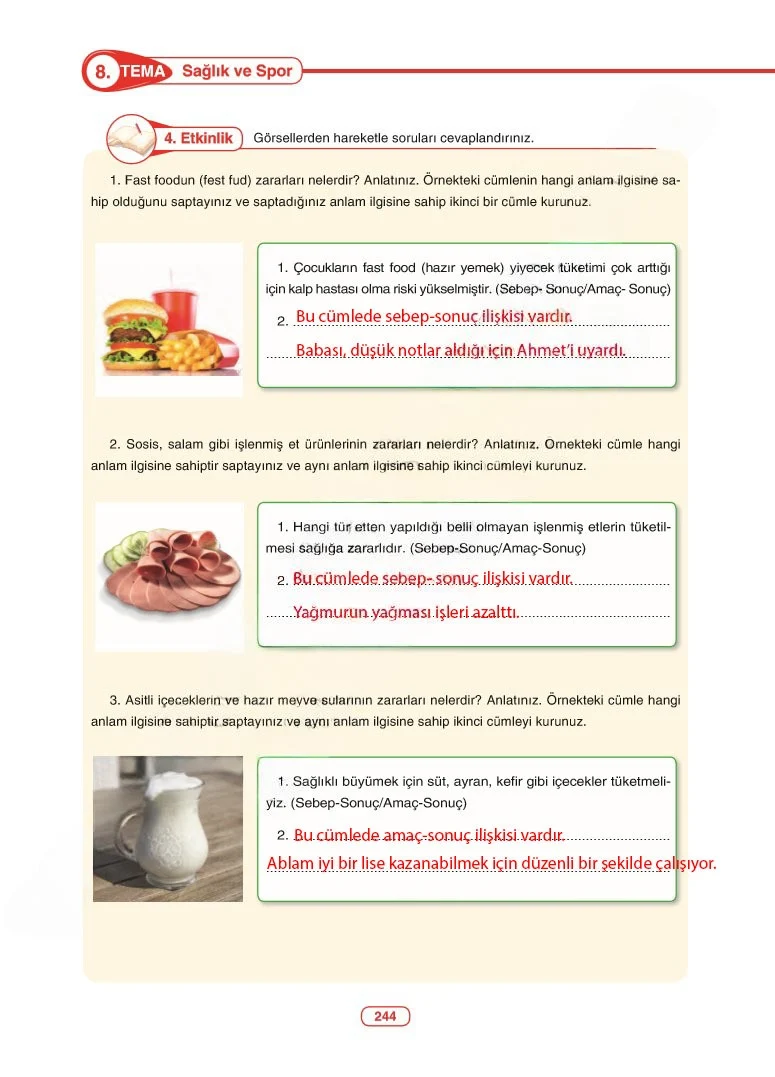 6. Sınıf Türkçe Ders Kitabı Cevapları Anka Yayınları Sayfa 244 Çözüm Görseli