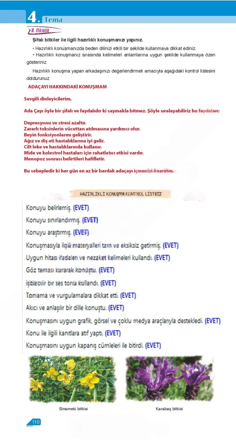 6. Sınıf Türkçe Ders Kitabı Cevapları Ata Yayınları Sayfa 110 Çözüm Görseli