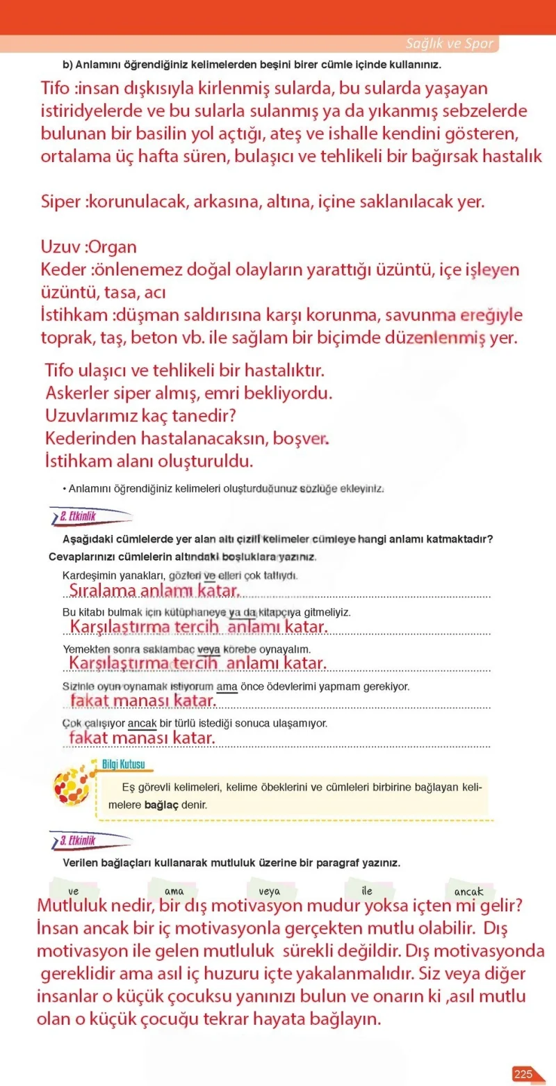 6. Sınıf Türkçe Ders Kitabı Cevapları Ata Yayınları Sayfa 225 Çözüm Görseli