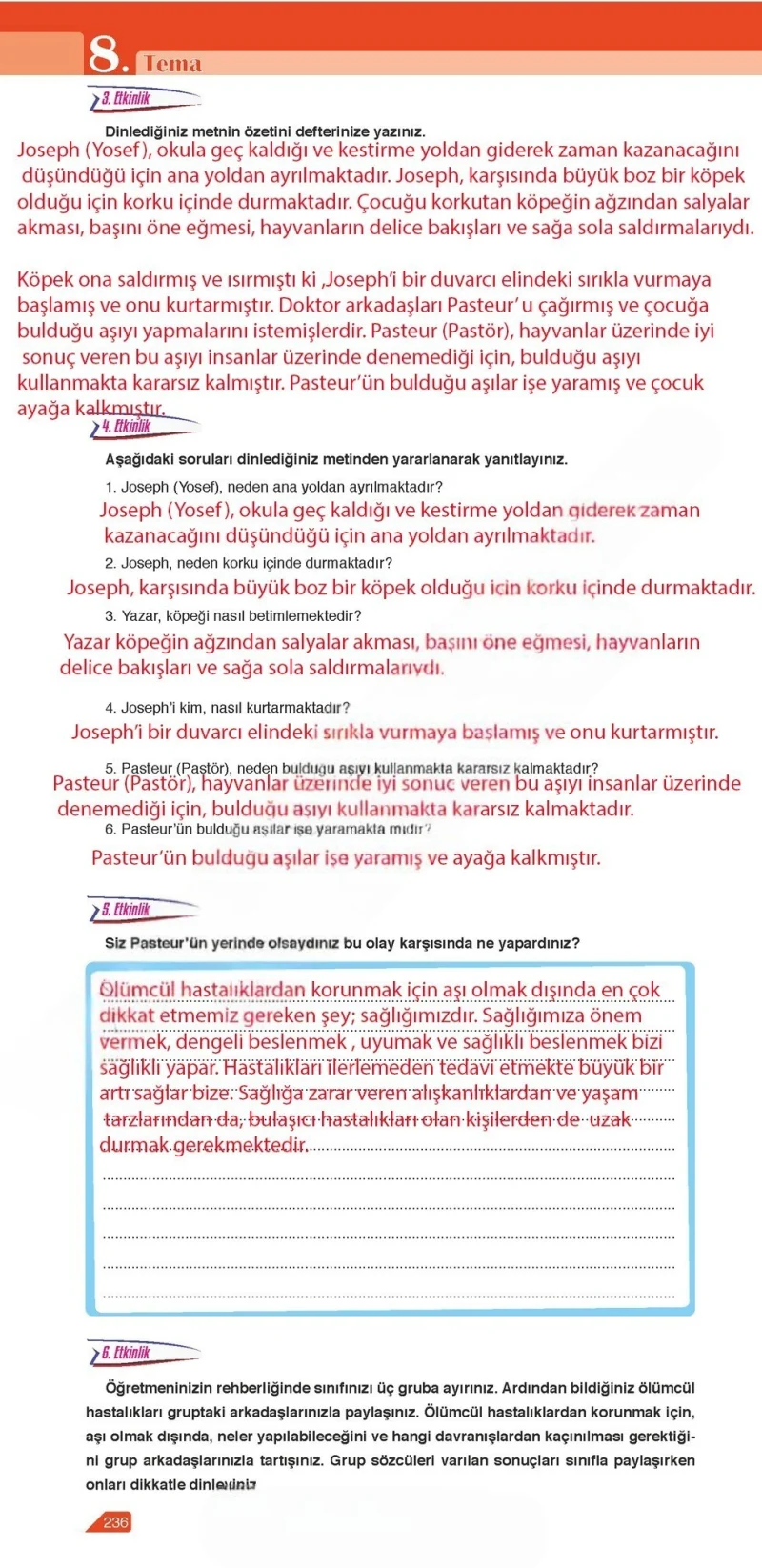 6. Sınıf Türkçe Ders Kitabı Cevapları Ata Yayınları Sayfa 236 Çözüm Görseli