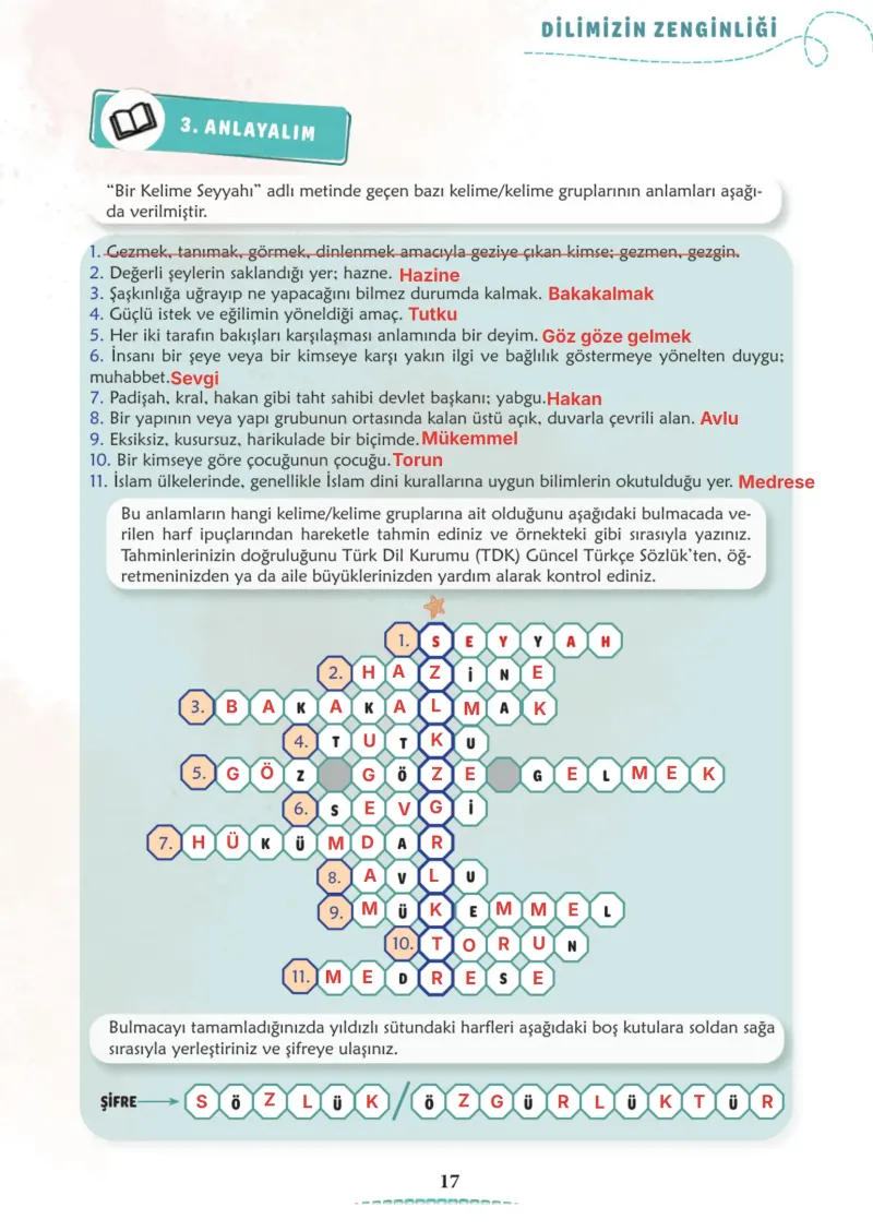6. Sınıf Türkçe Ders Kitabı Cevapları Meb Yayınları 1. Kitap Sayfa 17 Çözüm Görseli