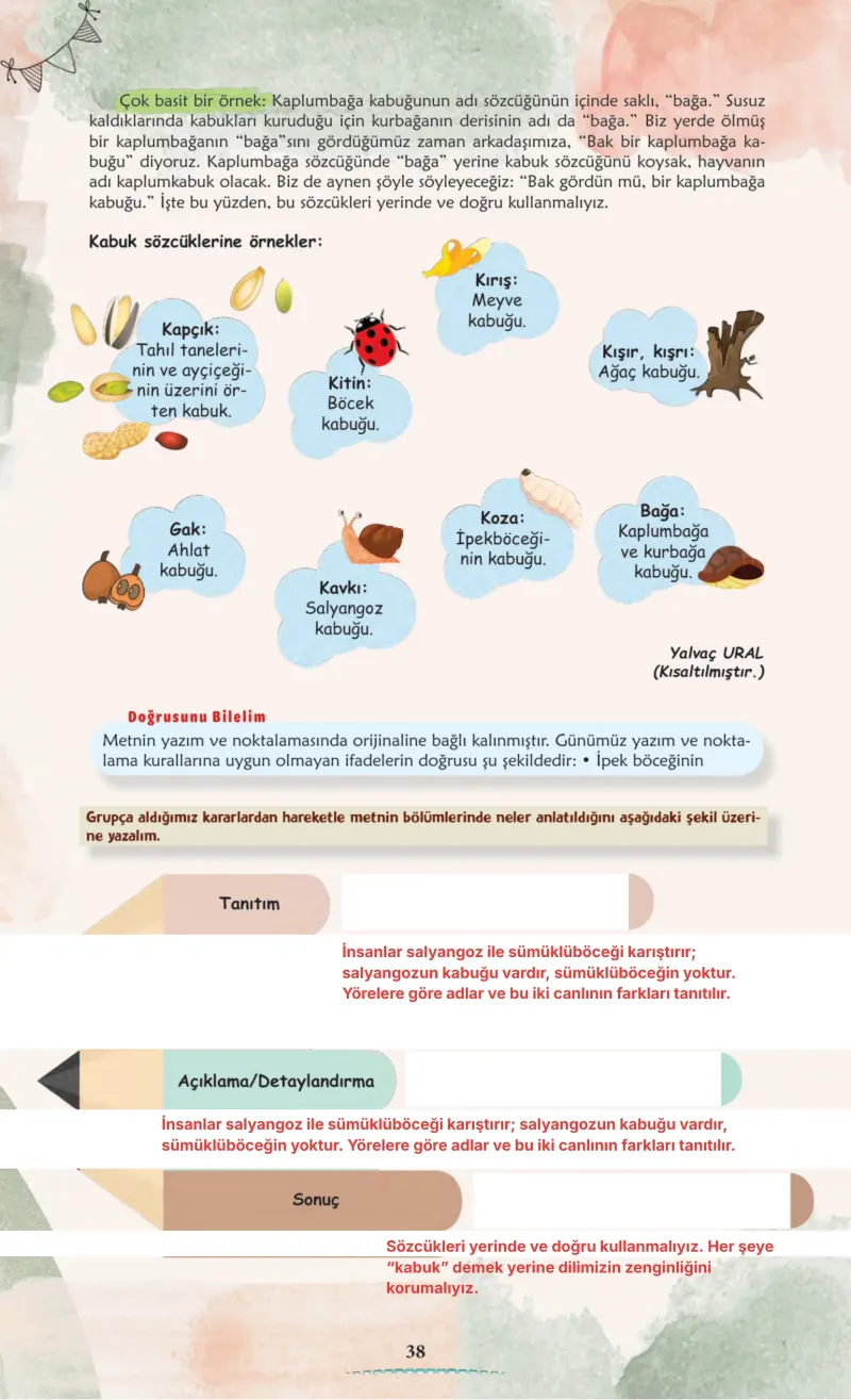 6. Sınıf Türkçe Ders Kitabı Cevapları Meb Yayınları 1. Kitap Sayfa 38 Çözüm Görseli