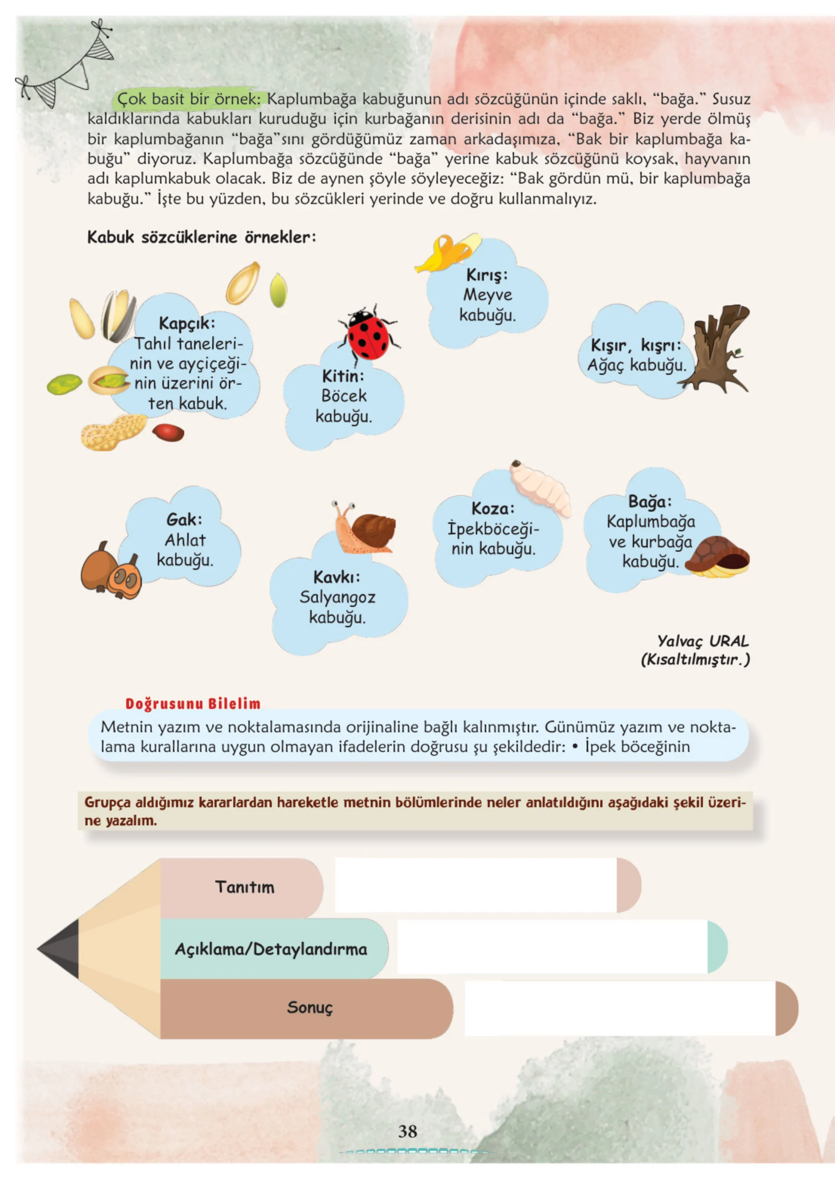 6. Sınıf Türkçe Ders Kitabı Cevapları Meb Yayınları 1. Kitap Sayfa 38