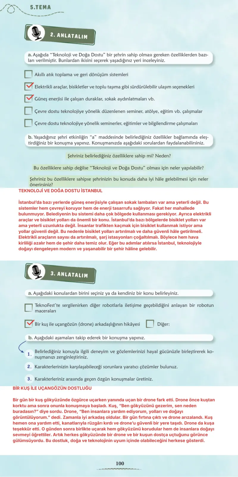 6. Sınıf Türkçe Ders Kitabı Cevapları Meb Yayınları 2. Kitap Sayfa 100 Çözüm Görseli