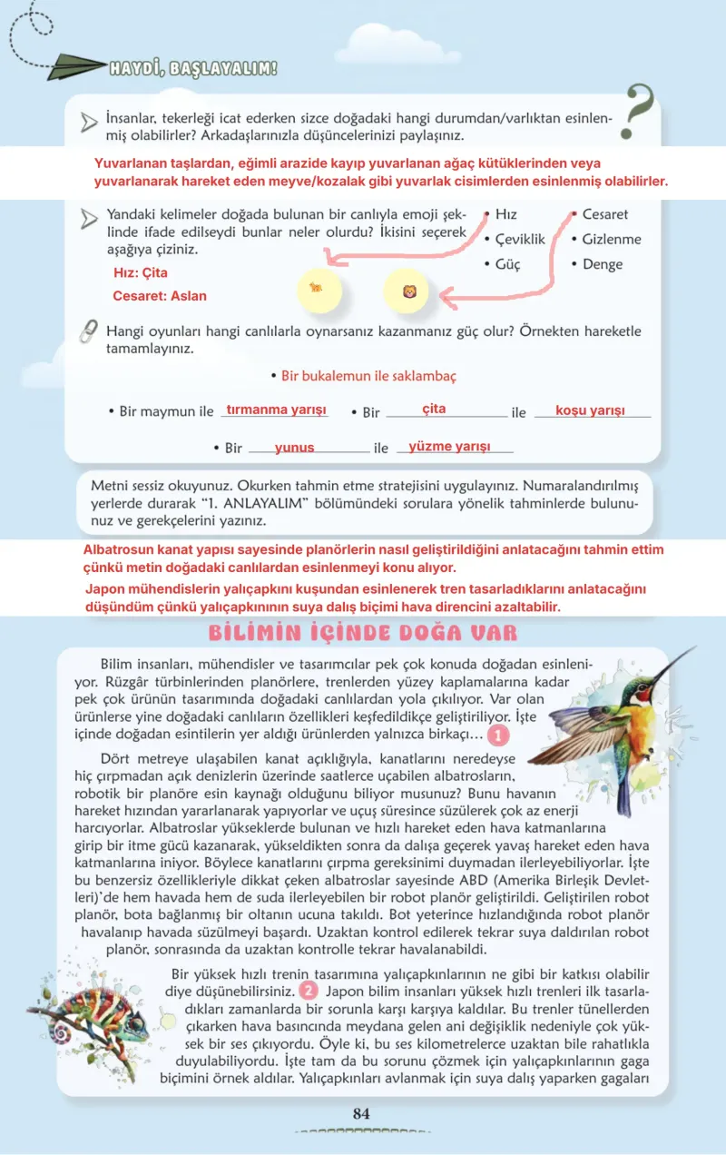 6. Sınıf Türkçe Ders Kitabı Cevapları Meb Yayınları 2. Kitap Sayfa 84 Çözüm Görseli