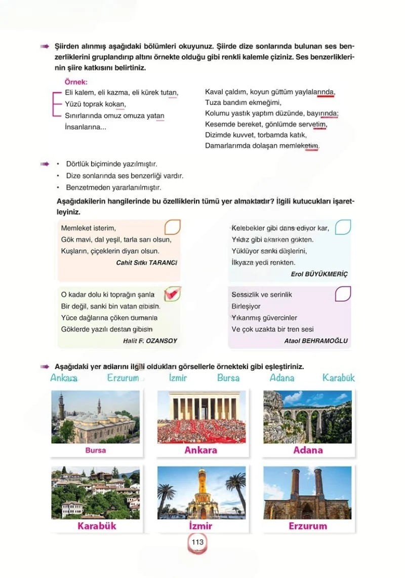 6. Sınıf Türkçe Ders Kitabı Cevapları Yıldırım Yayınları Sayfa 113 Çözüm Görseli