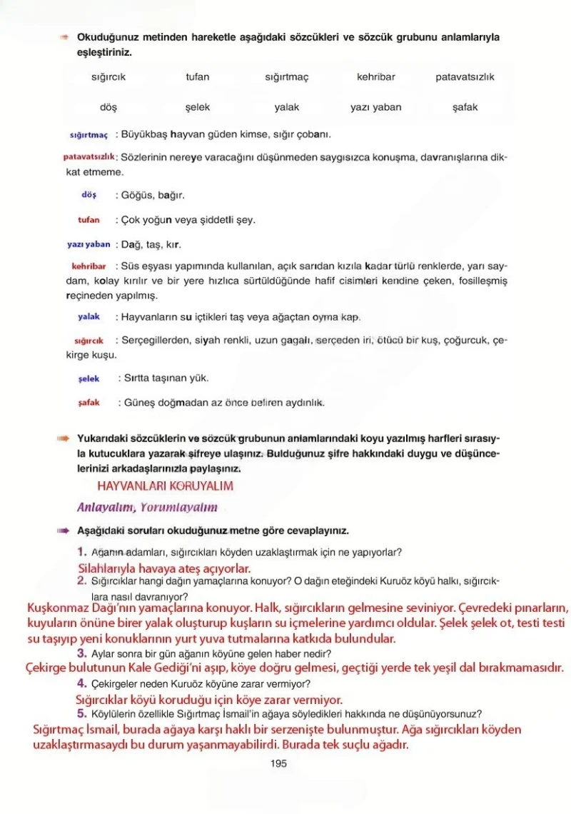 6. Sınıf Türkçe Ders Kitabı Cevapları Yıldırım Yayınları Sayfa 195 Çözüm Görseli