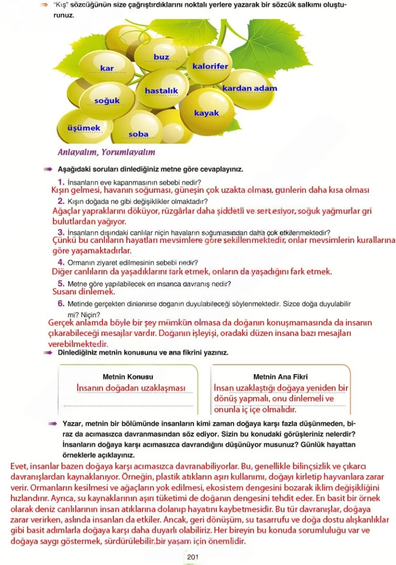 6. Sınıf Türkçe Ders Kitabı Cevapları Yıldırım Yayınları Sayfa 201 Çözüm Görseli