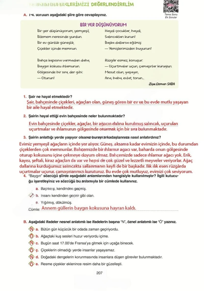 6. Sınıf Türkçe Ders Kitabı Cevapları Yıldırım Yayınları Sayfa 207 Çözüm Görseli