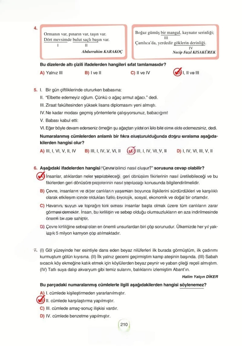 6. Sınıf Türkçe Ders Kitabı Cevapları Yıldırım Yayınları Sayfa 210 Çözüm Görseli