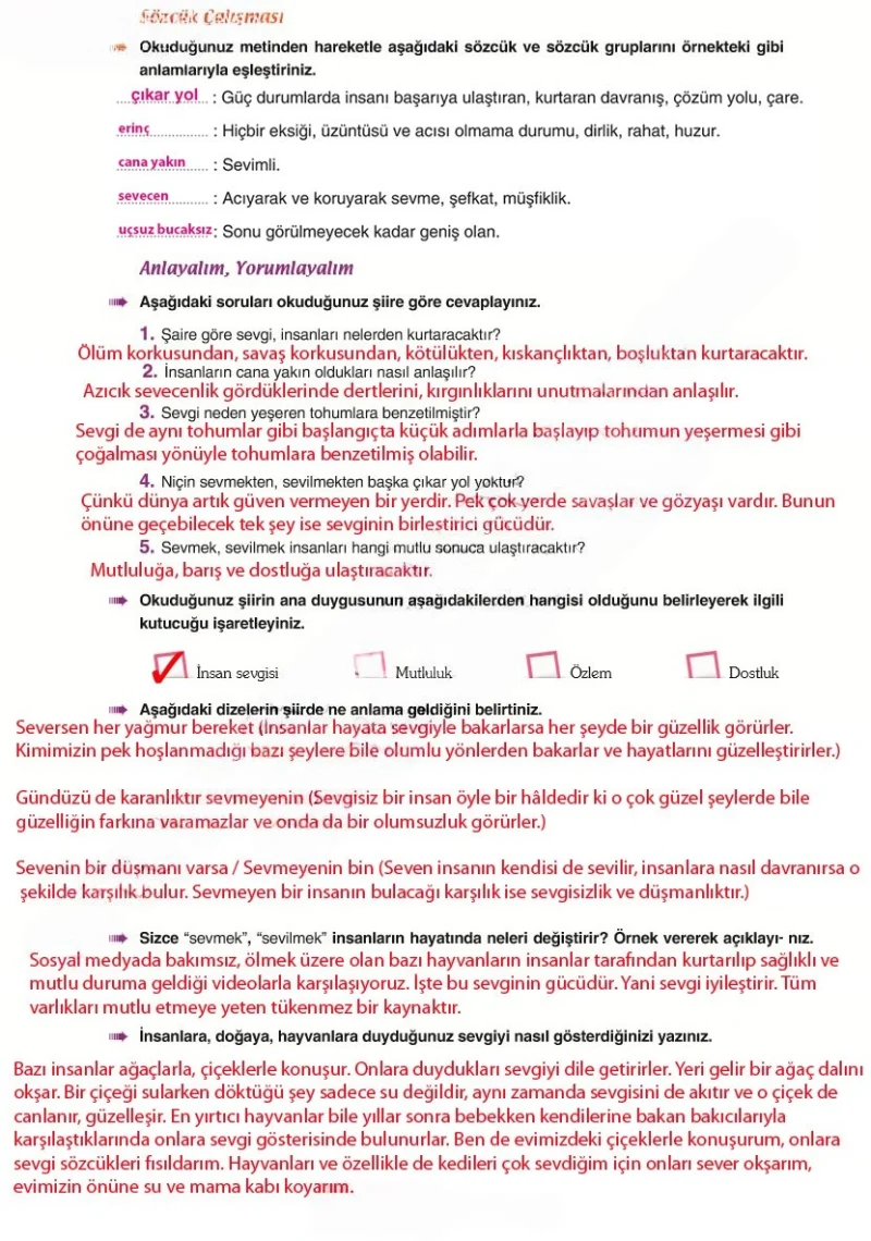 6. Sınıf Türkçe Ders Kitabı Cevapları Yıldırım Yayınları Sayfa 252 Çözüm Görseli
