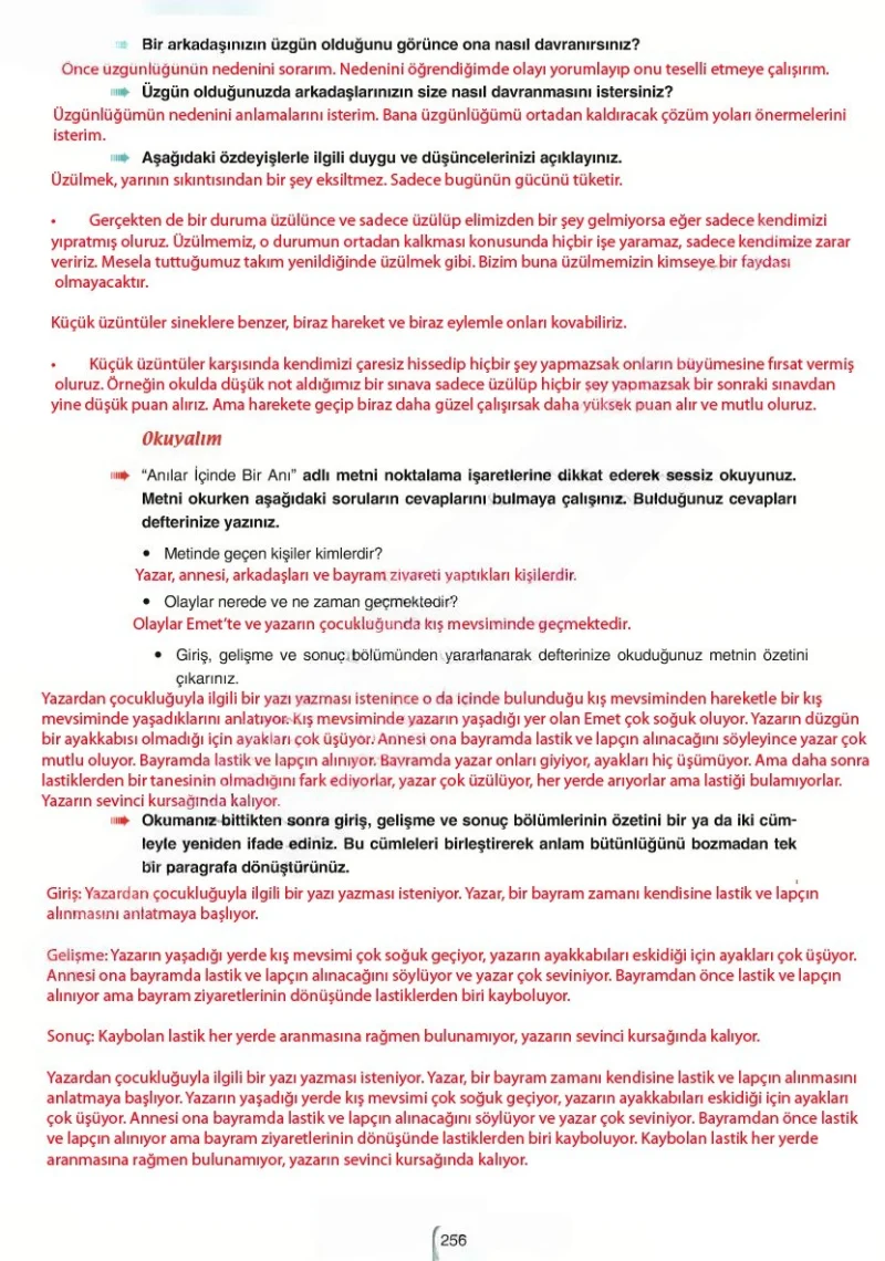 6. Sınıf Türkçe Ders Kitabı Cevapları Yıldırım Yayınları Sayfa 256 Çözüm Görseli