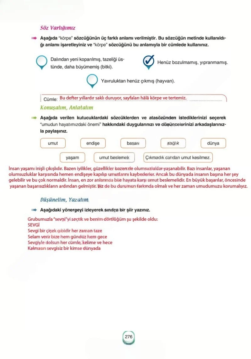 6. Sınıf Türkçe Ders Kitabı Cevapları Yıldırım Yayınları Sayfa 276 Çözüm Görseli