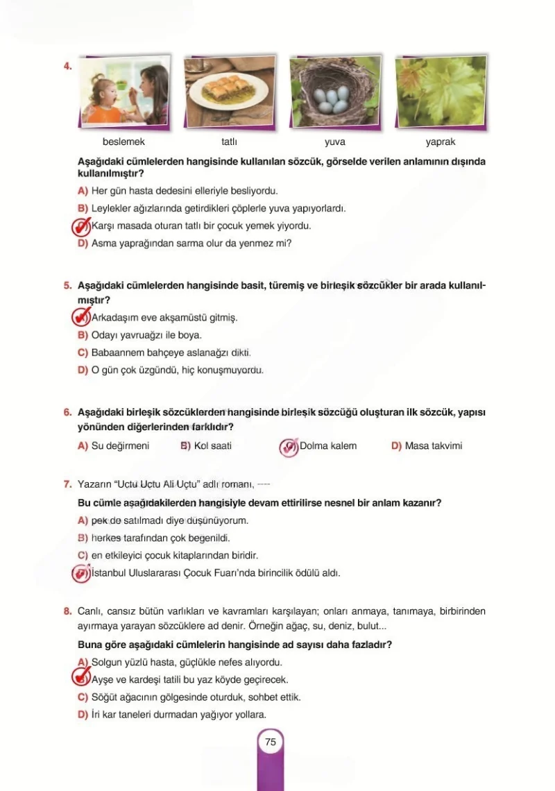 6. Sınıf Türkçe Ders Kitabı Cevapları Yıldırım Yayınları Sayfa 75 Çözüm Görseli