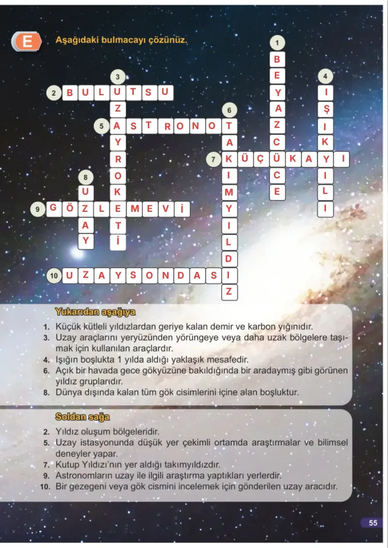 7. Sınıf Fen Bilimleri Ders Kitabı Cevapları Meb Yayınları 1. Kitap Sayfa 55 Çözüm Görseli
