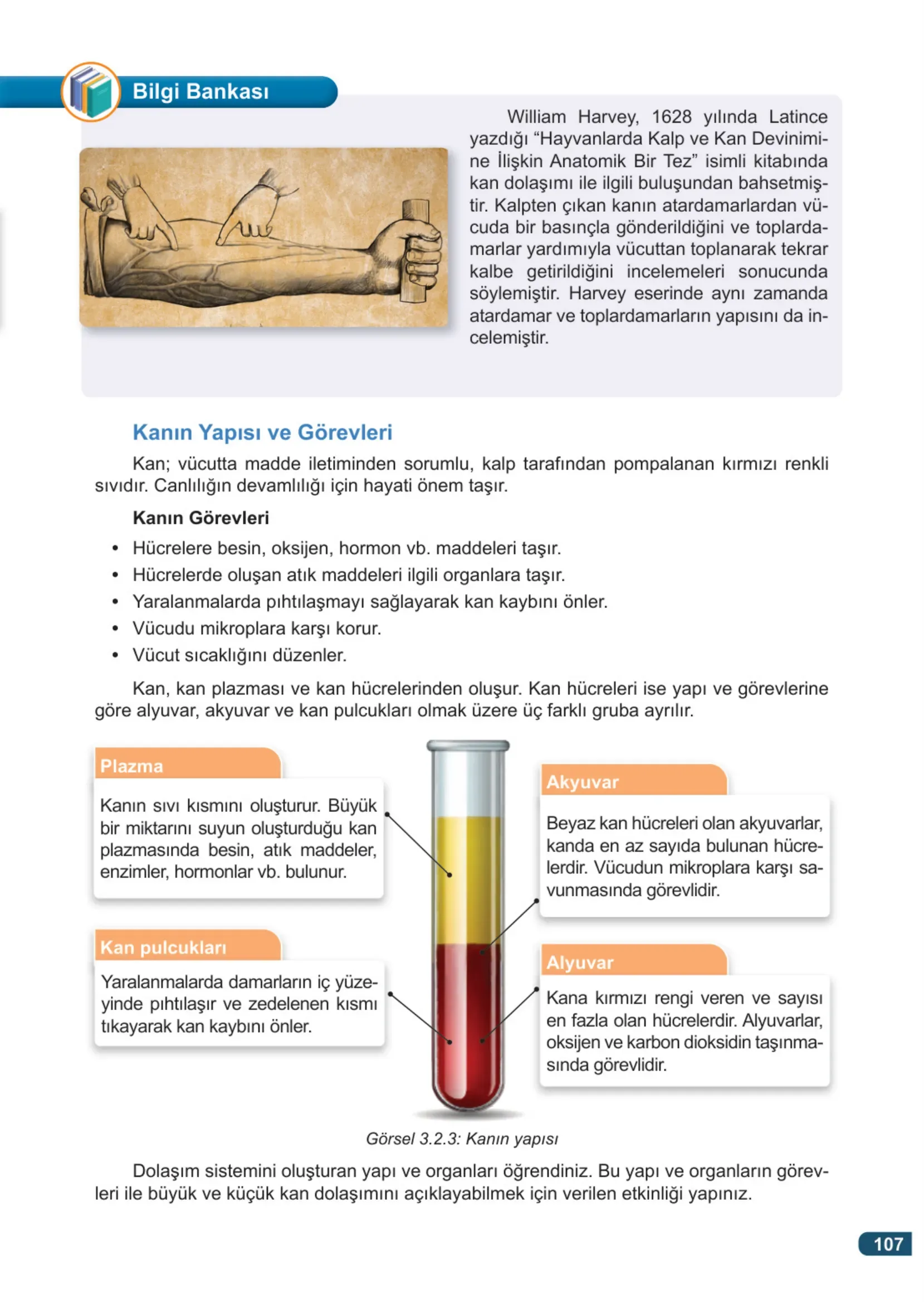 7. Sınıf Fen Bilimleri Ders Kitabı Cevapları Meb Yayınları 1. Kitap Sayfa 107