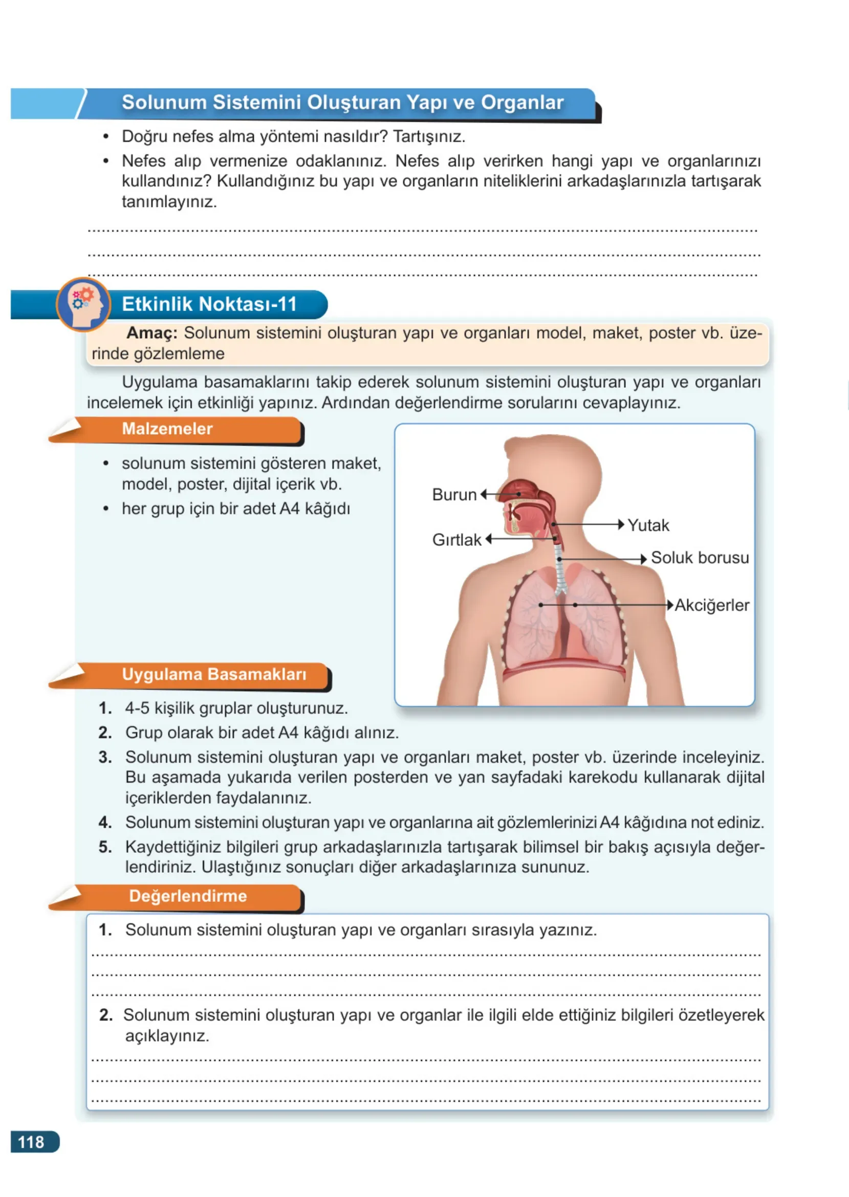 7. Sınıf Fen Bilimleri Ders Kitabı Cevapları Meb Yayınları 1. Kitap Sayfa 118
