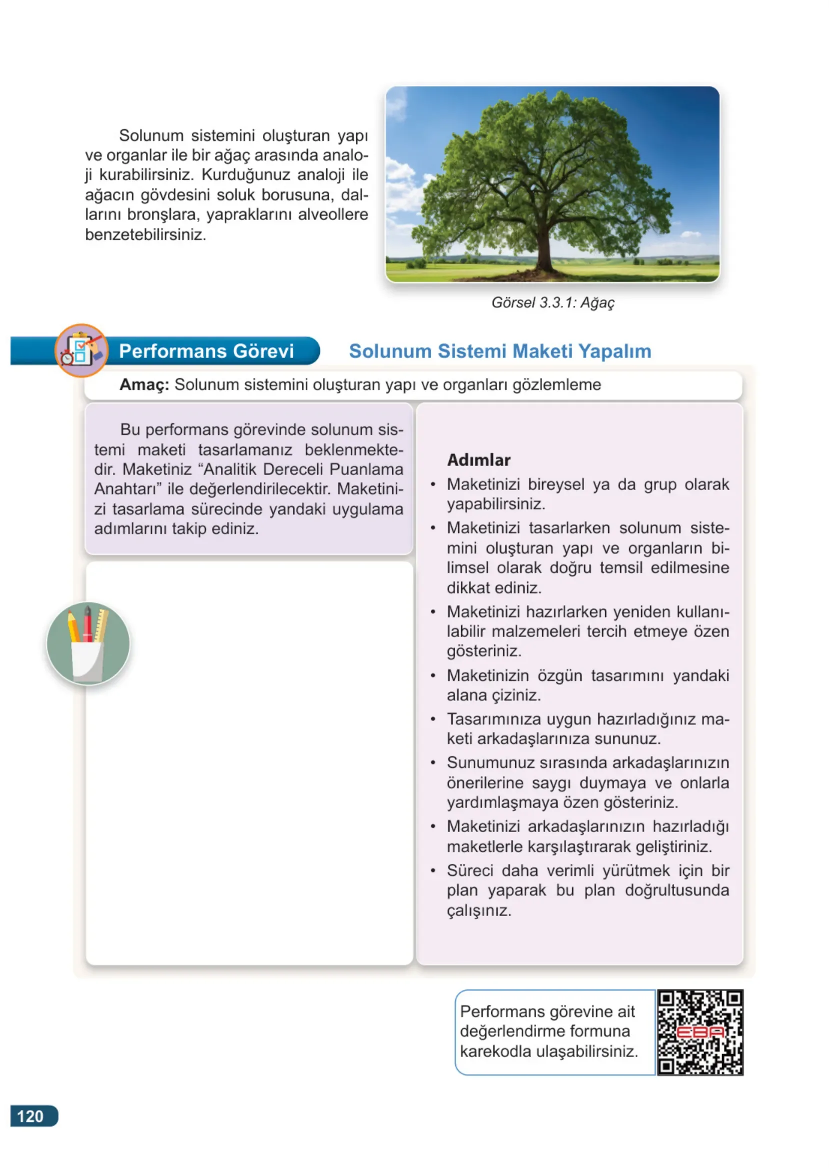 7. Sınıf Fen Bilimleri Ders Kitabı Cevapları Meb Yayınları 1. Kitap Sayfa 120