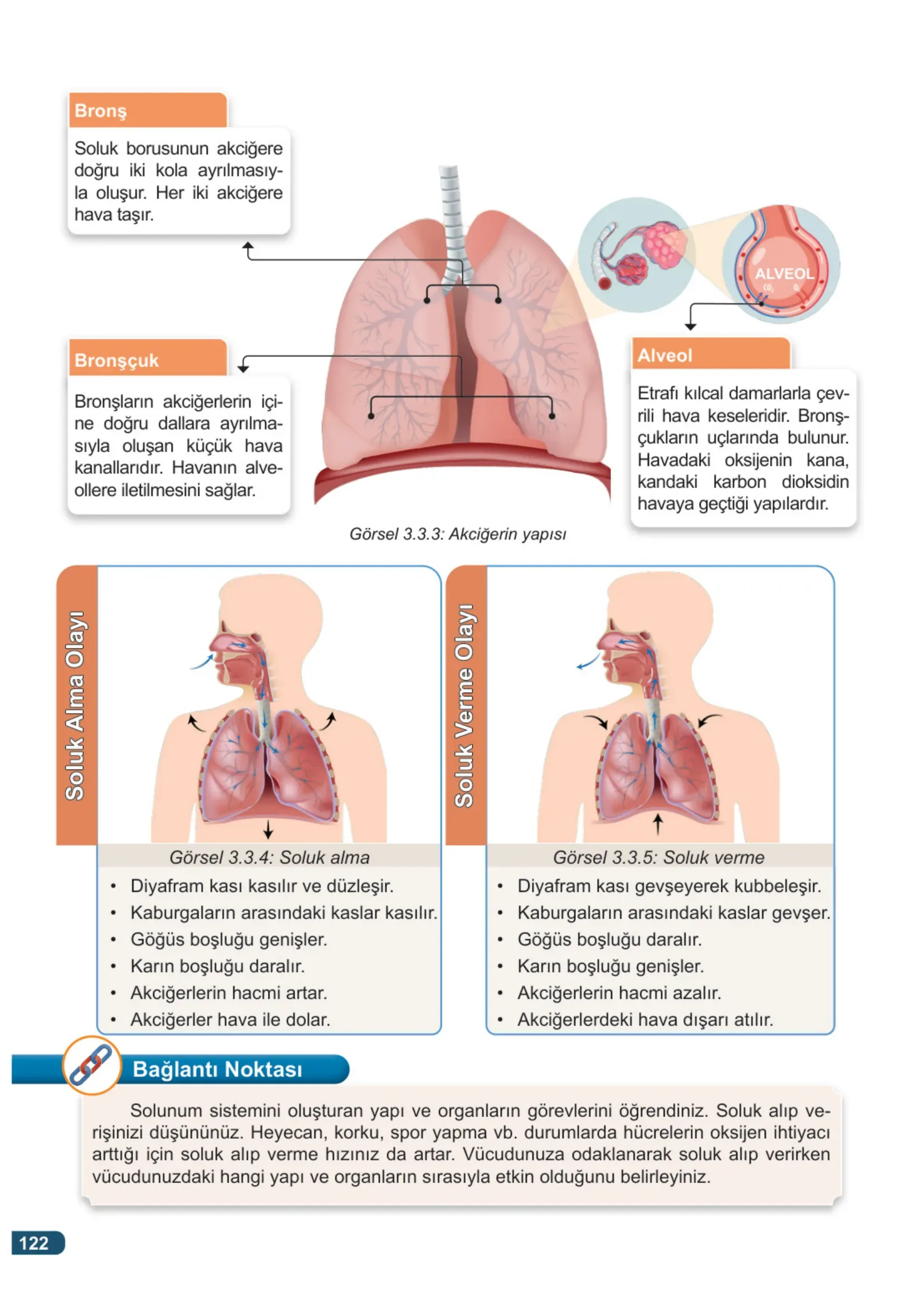 7. Sınıf Fen Bilimleri Ders Kitabı Cevapları Meb Yayınları 1. Kitap Sayfa 122