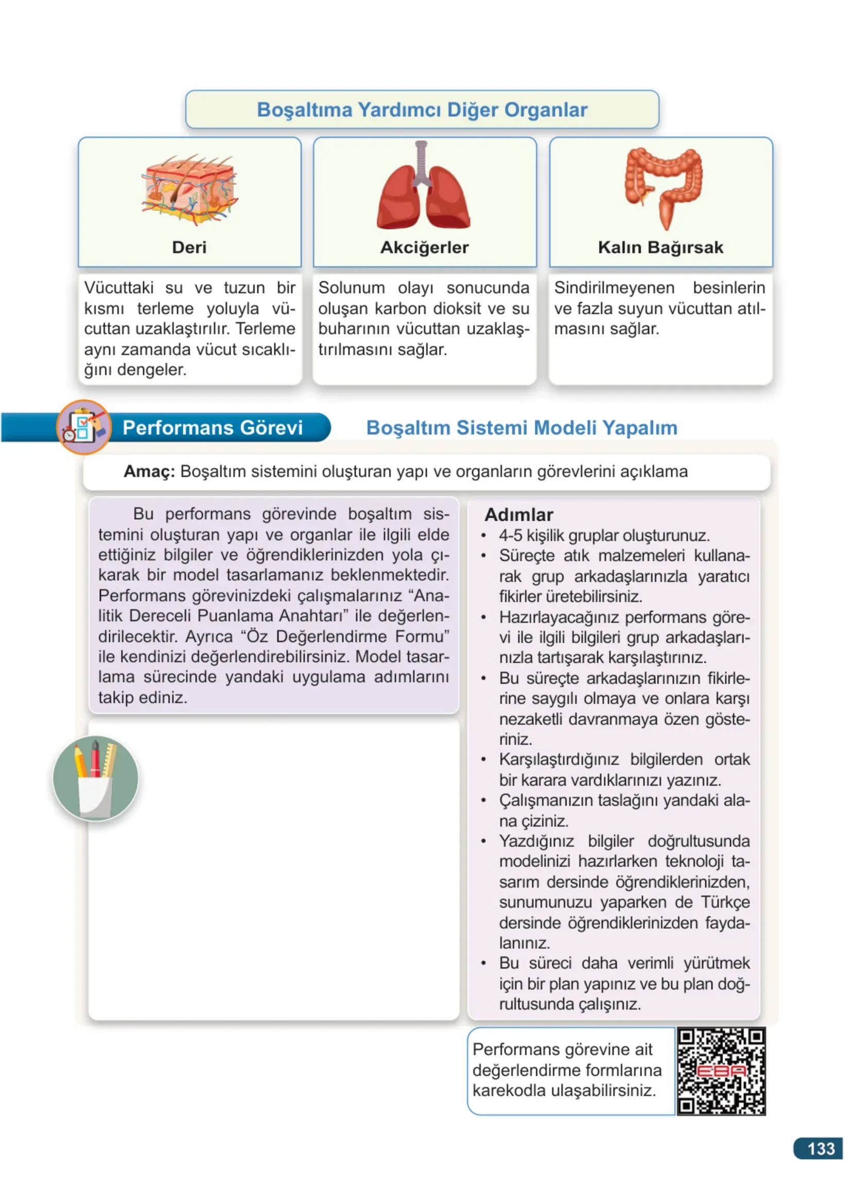7. Sınıf Fen Bilimleri Ders Kitabı Cevapları Meb Yayınları 1. Kitap Sayfa 133