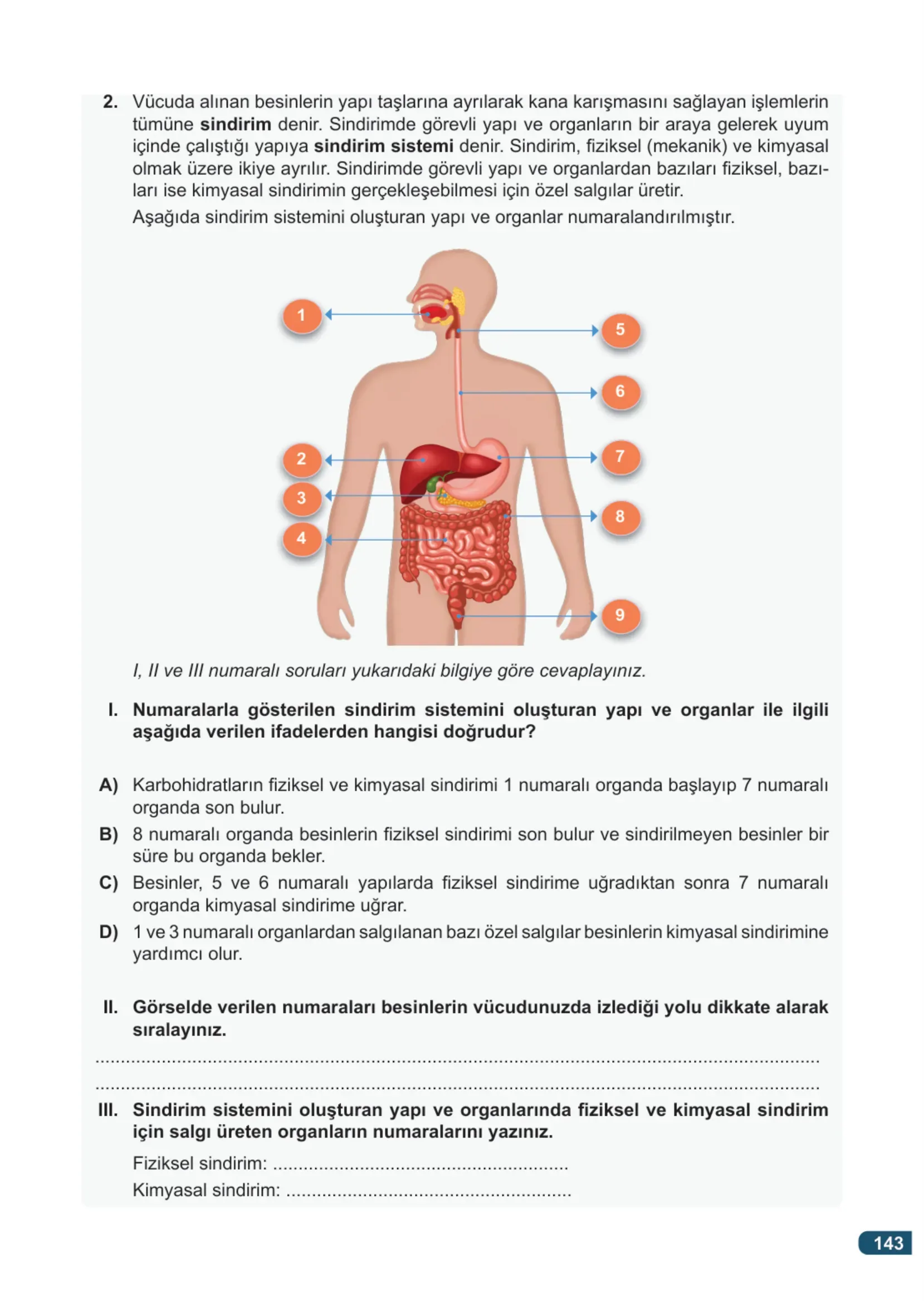 7. Sınıf Fen Bilimleri Ders Kitabı Cevapları Meb Yayınları 1. Kitap Sayfa 143