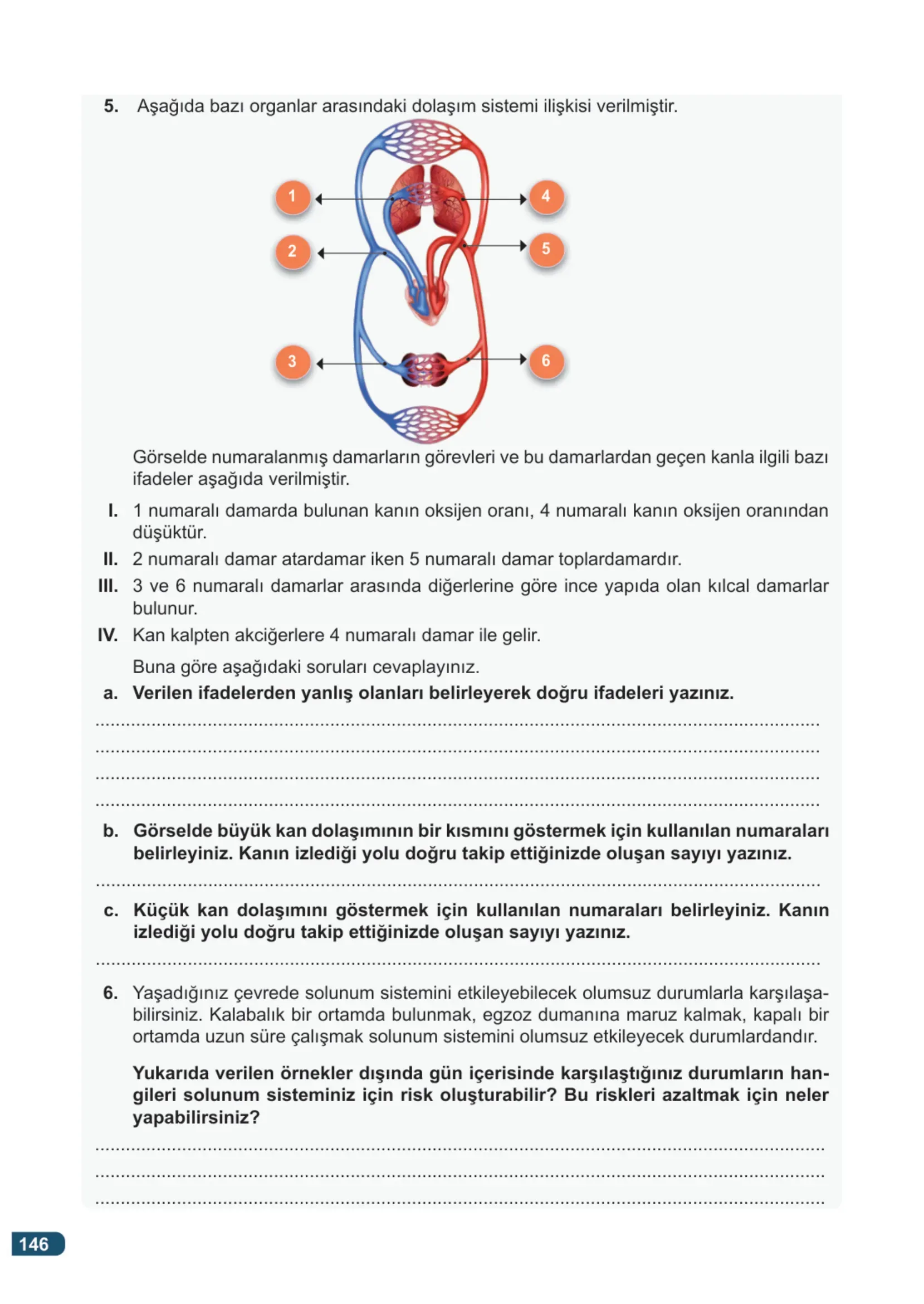 7. Sınıf Fen Bilimleri Ders Kitabı Cevapları Meb Yayınları 1. Kitap Sayfa 146
