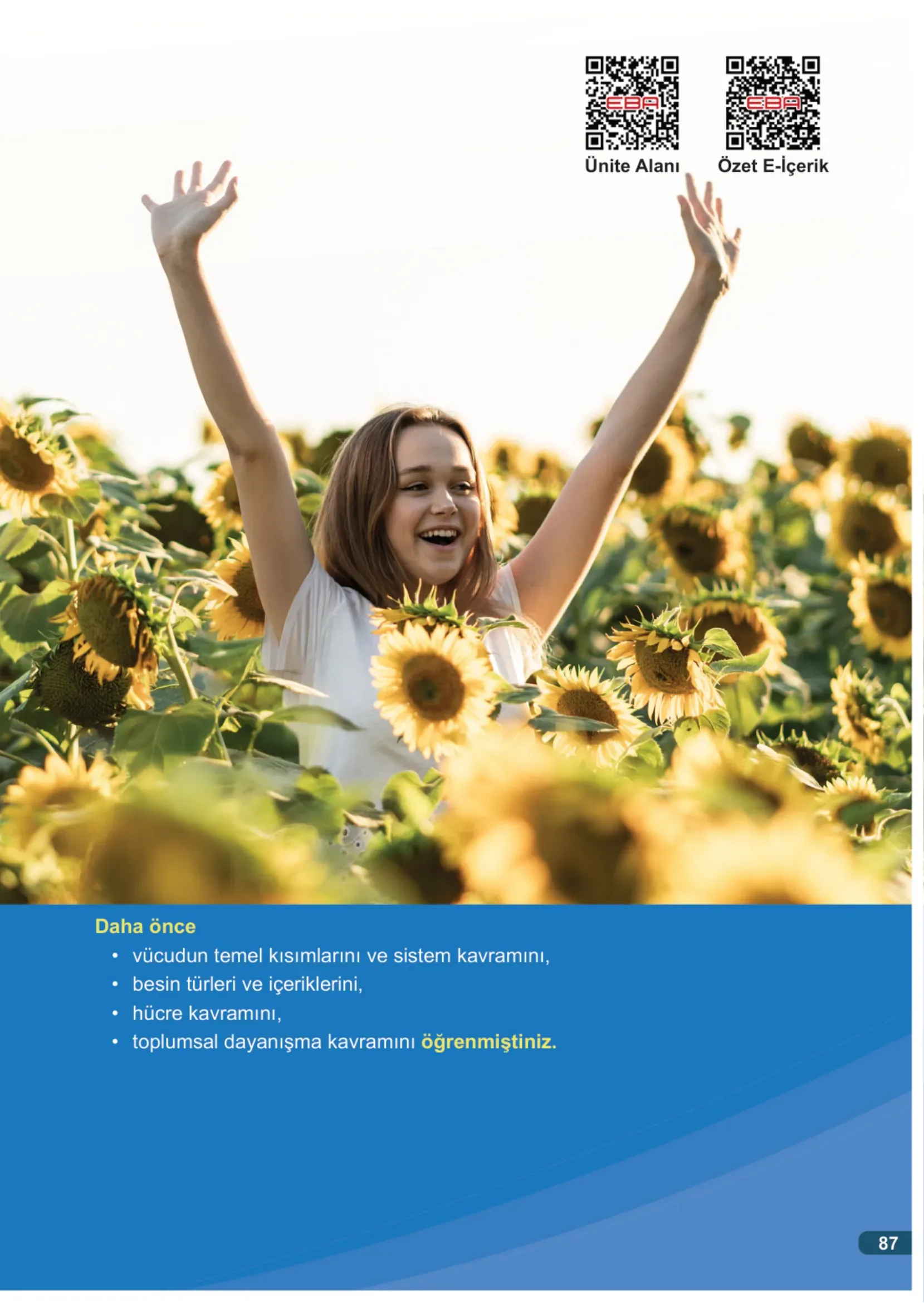 7. Sınıf Fen Bilimleri Ders Kitabı Cevapları Meb Yayınları 1. Kitap Sayfa 87