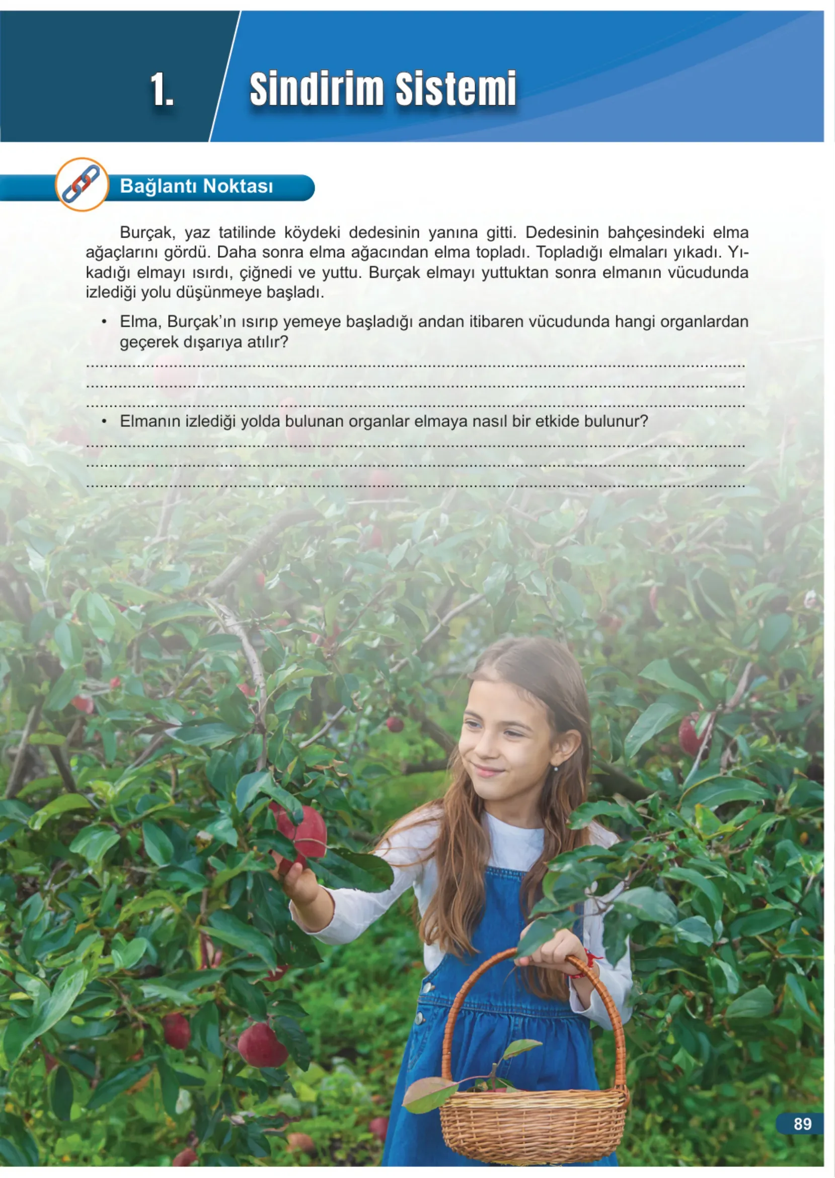 7. Sınıf Fen Bilimleri Ders Kitabı Cevapları Meb Yayınları 1. Kitap Sayfa 89