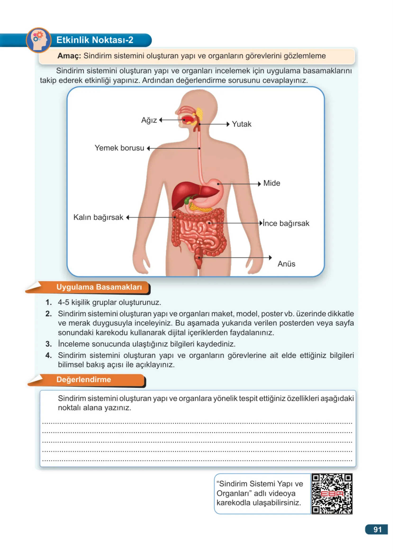7. Sınıf Fen Bilimleri Ders Kitabı Cevapları Meb Yayınları 1. Kitap Sayfa 91