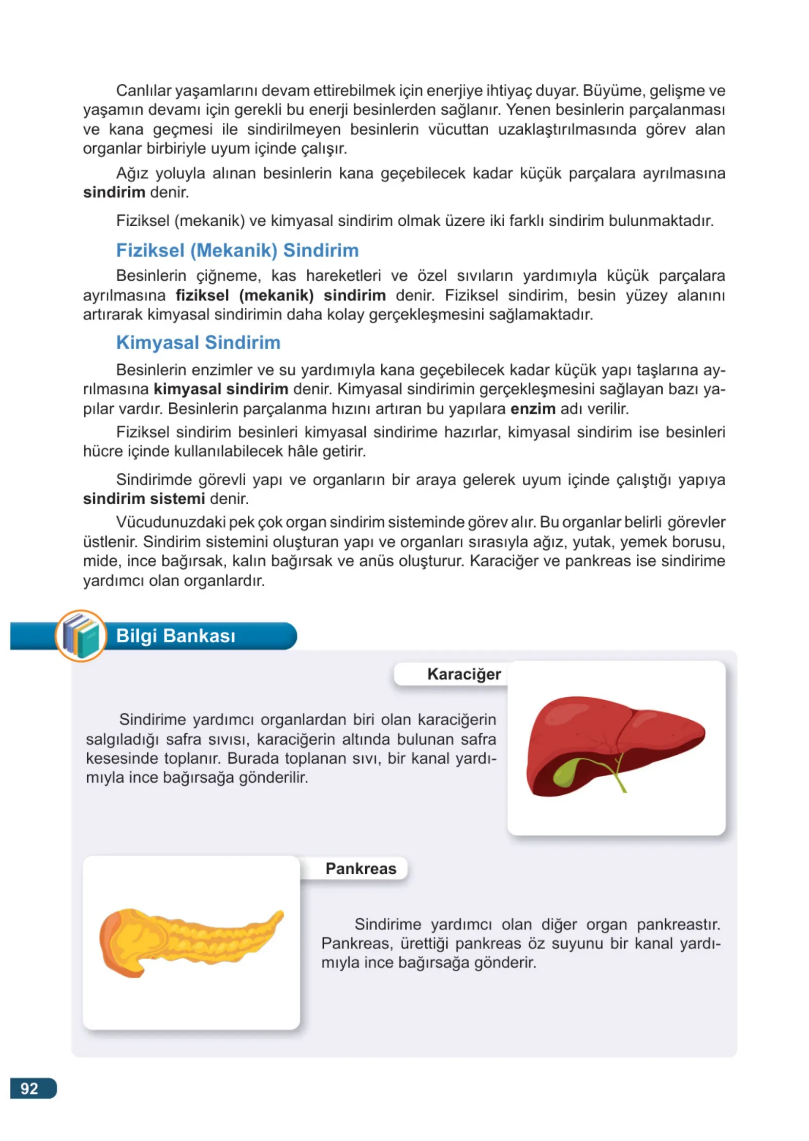 7. Sınıf Fen Bilimleri Ders Kitabı Cevapları Meb Yayınları 1. Kitap Sayfa 92