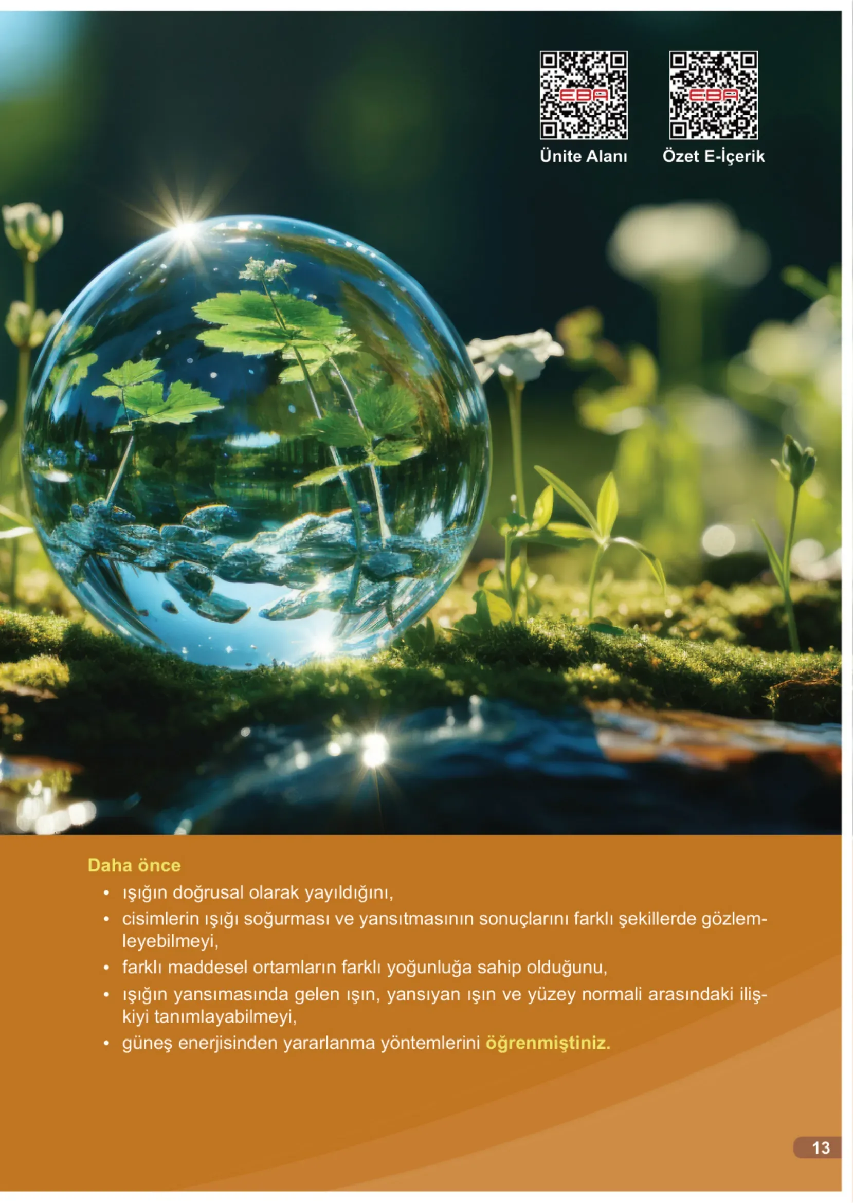 7. Sınıf Fen Bilimleri Ders Kitabı Cevapları Meb Yayınları 2. Kitap Sayfa 13
