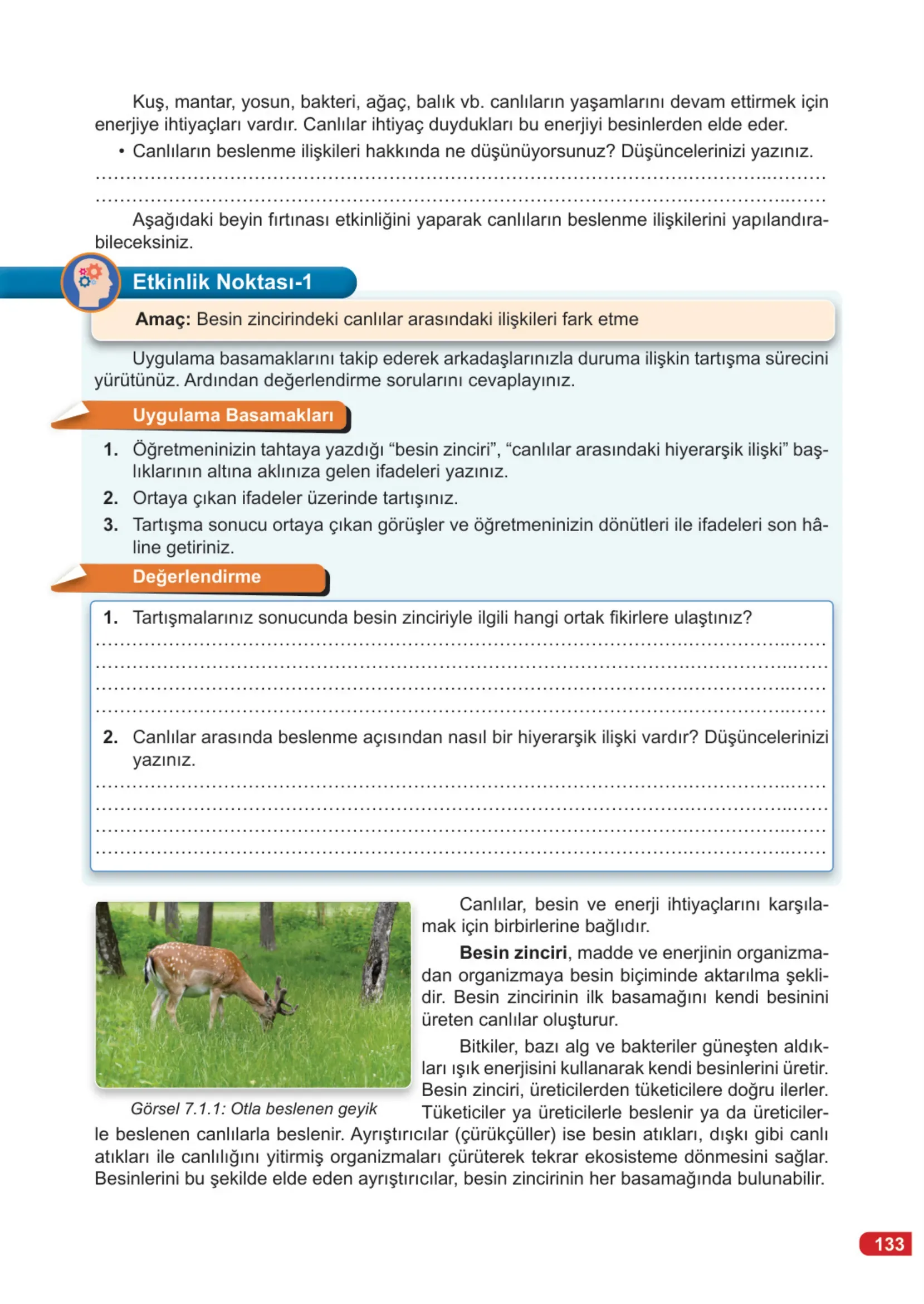 7. Sınıf Fen Bilimleri Ders Kitabı Cevapları Meb Yayınları 2. Kitap Sayfa 133