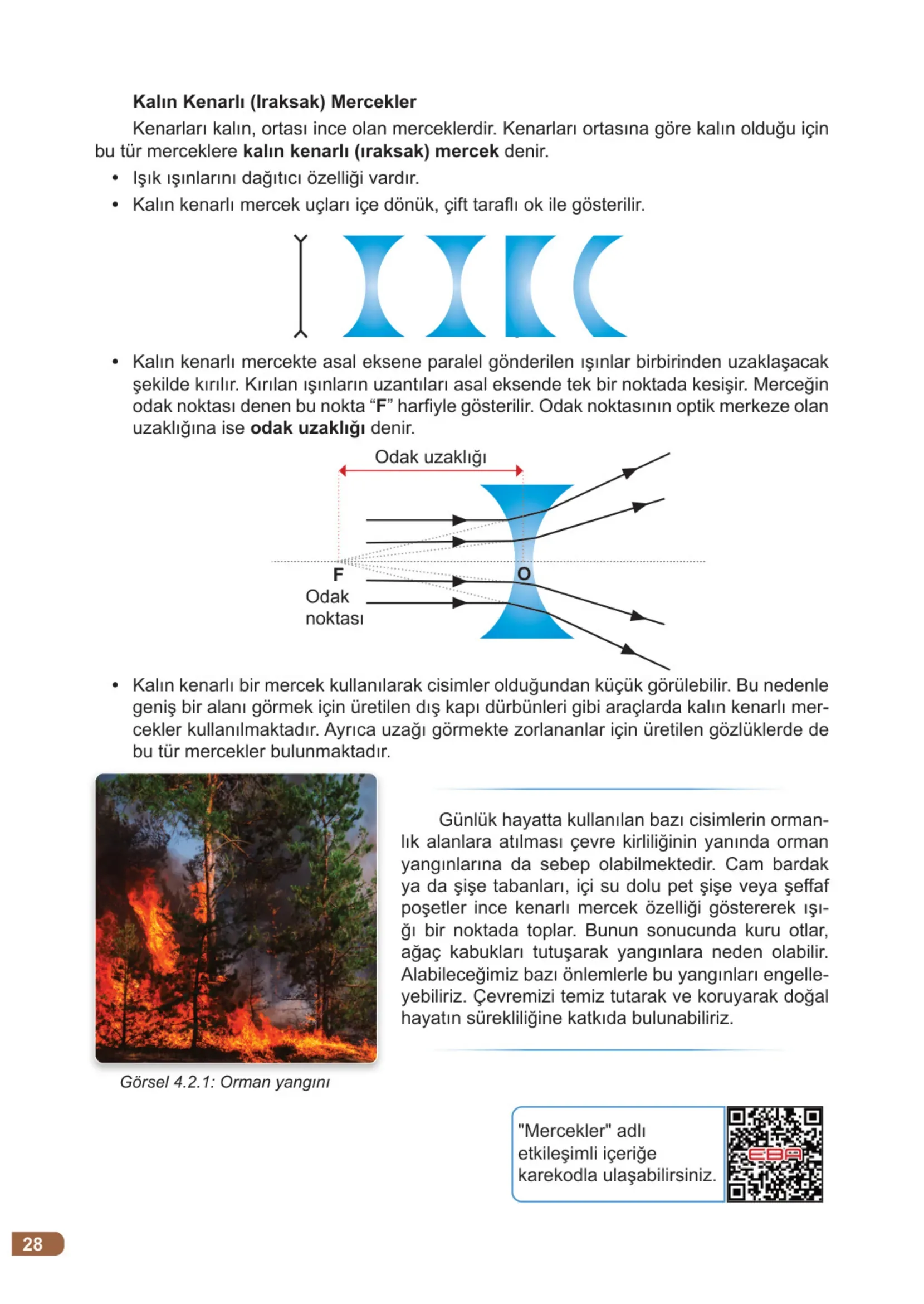 7. Sınıf Fen Bilimleri Ders Kitabı Cevapları Meb Yayınları 2. Kitap Sayfa 28